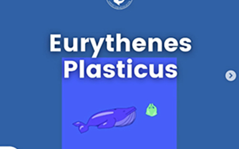 Araştırmacılar, Pasifik Okyanus'unda Mariana Çukurunda 6010m ile 6949m arasında yeni keşfettikleri bir amfipotun (deniz kabuklusu) bedeninde plastik buldu.
Denizlerin karşı karşıya olduğu plastik krizine dikkat çekmek amacıyla araştırmacılar yeni amfipod türüne “plasticus” ismini verdi.
🦠Deniz kabuklusu üzerine yapılan incelemelerde arka bağırsağında su şişeleri ve spor kıyafetleri gibi yaygın kullanılan birçok malzemede yer alan PET (polietilen tereftalat) bulundu.
Ne yazık ki Türkiye’nin de denizlerdeki plastik kirliliğinde payı var.
Newcastle Üniversitesi’ndeki araştırma ekibinin başkanı Dr. Alan Jamieson ise, “Denizlerimize sel gibi akmakta olan plastik kirliliğini durdurmak için acil eyleme geçilmesi gerektiğine dikkat çekmek için “Eurythenes plasticus ismine karar verdik” dedi.
Sizce denizlerimizi plastiklerden korumak için neler yapmalıyız? Yorumlarda buluşalım!